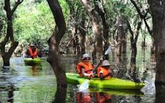 Unique Kayak Cambodia