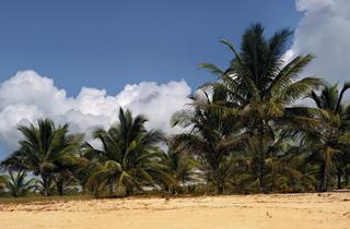 Lam Da Beach