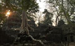 Sunrise at Ta Phrom